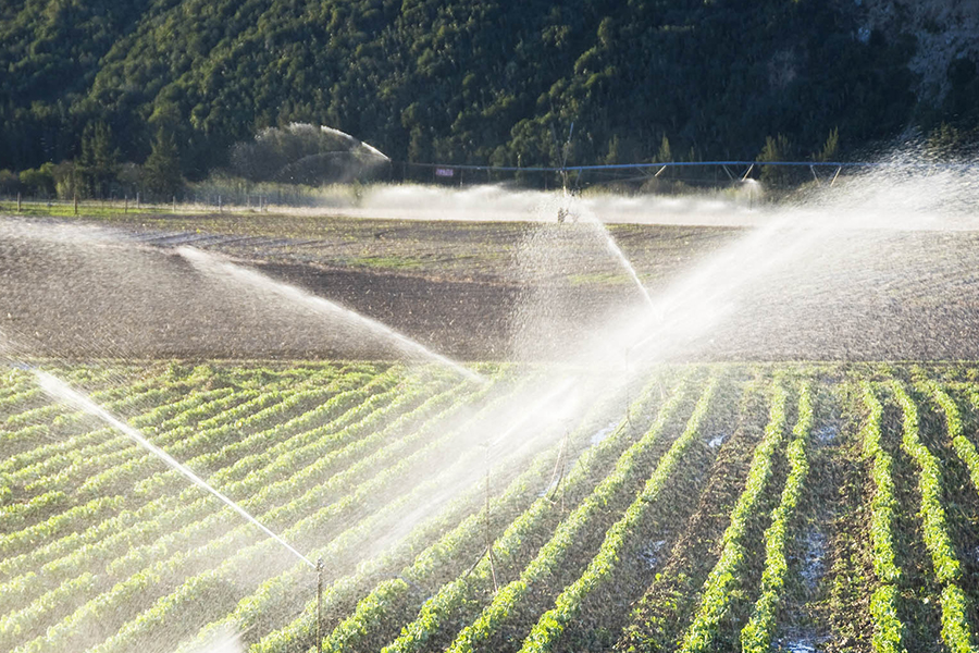 Agricultural automation